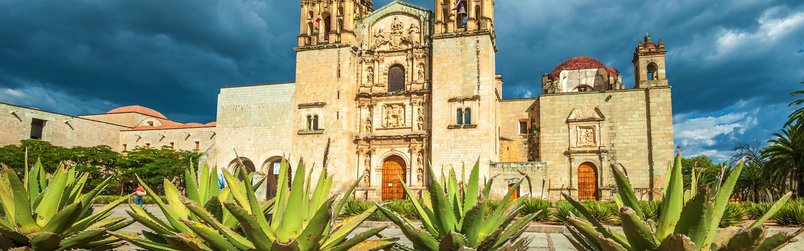 Agave plants in front of a grand building in Mexico